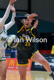 V Dandenong 010jpg