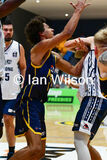 V Geelong 065jpg