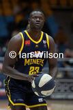V Ringwood 076jpg