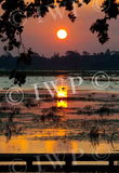 lake Wendouree sunset2jpg