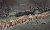 hunted foxes displayed on a farm fence